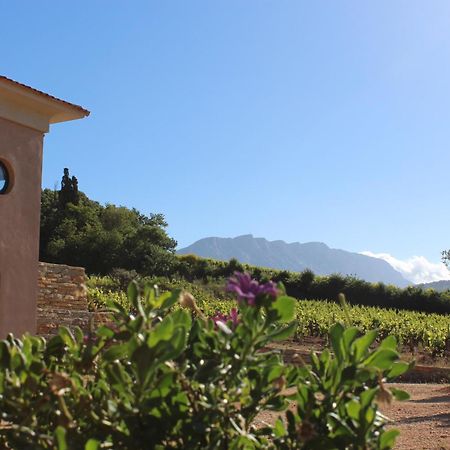 La Bastide - Le Grenache - Le Syrah Au Domaine Chateau Henri Bonnaud Le Tholonet Bagian luar foto