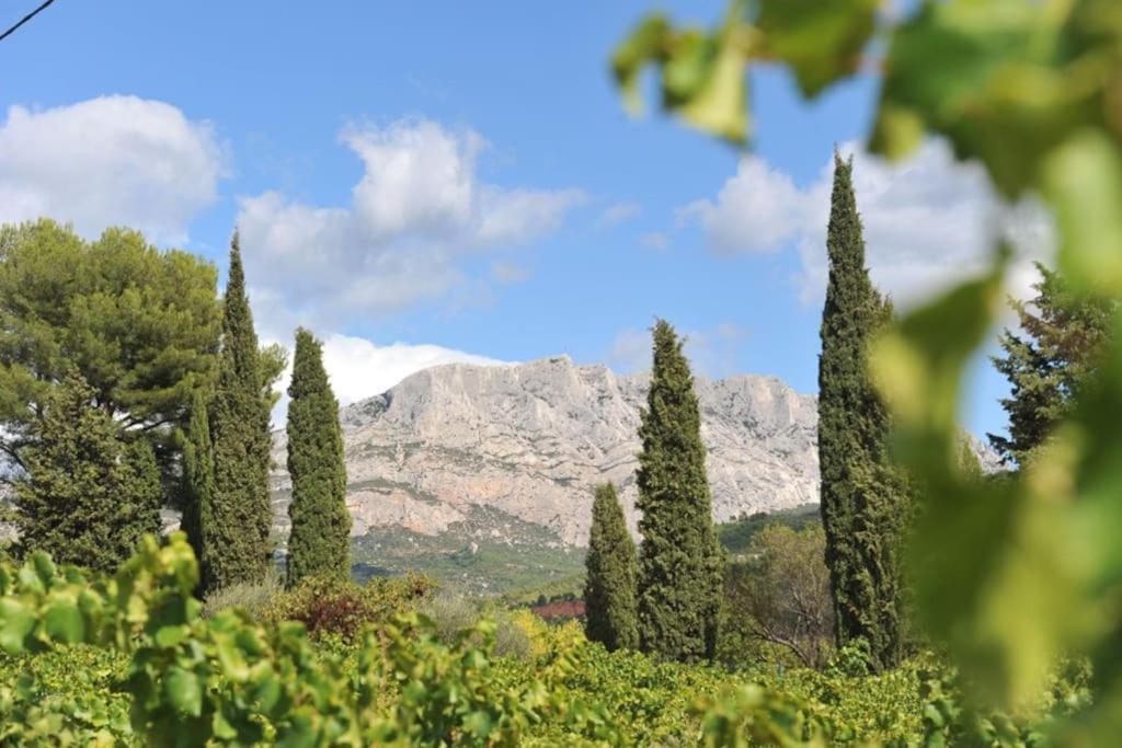 La Bastide - Le Grenache - Le Syrah Au Domaine Chateau Henri Bonnaud Le Tholonet Bagian luar foto