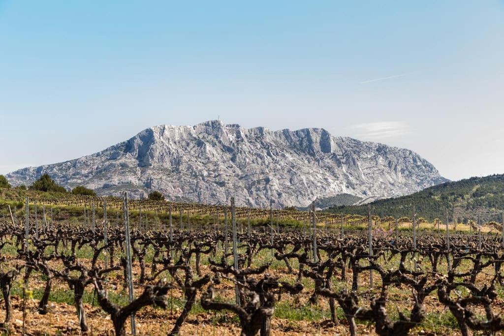 La Bastide - Le Grenache - Le Syrah Au Domaine Chateau Henri Bonnaud Le Tholonet Bagian luar foto